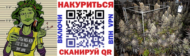 Каннабис ГИДРОПОН  Купить закладки  Киреевск 